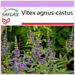 SAFLAX - Mungapaprika - 30 seemet - Vitex agnus-castus