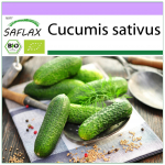 SAFLAX &ndash; Orgaaniline &ndash; Kurk &ndash; Vorgebirgstraube &ndash; 15 seemet &ndash; Cucumis sativus