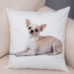 Armas lemmikloomade padjap&uuml;&uuml;r Dekoratiivne armas kutsika chihuahua padjap&uuml;&uuml;r Pehme pl&uuml;&uuml;sist padjap&uuml;&uuml;r autodiivanile koju 45x45cm 40x40cm