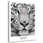 L&otilde;uenditr&uuml;kk Africa Tiger Animals 40x60 valge/must