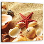 L&otilde;uenditr&uuml;kk Shells rannaliiv 30x30 beež