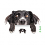 Armas veekindel kleebis, mida on lihtne peale kanda Eemalda armas isekleepuv kleebis vannitoatarvikud Little Dog