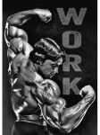 Motiveeriv kulturismi plakat ja prinditud l&otilde;uendimaal Arnold Schwarzeneggeri fitness-seinakunst j&otilde;usaali jaoks magamistoa sisekujundus 50x70cm No Frame