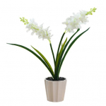 Kasulik Flower Bonsai Kerge keskkonnas&otilde;bralik sile pind valge