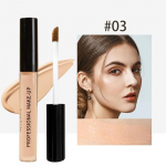 MAXFINE vedelmeigi jumestuskreem, Renovation Concealer Pikaajaline meik 01