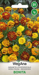 Tagetes puistas Bonita kokku 1g saialilleseemneid - WegAna