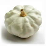 15 Graines de P&acirc;tisson Blanc