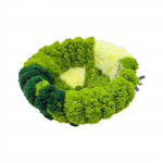 Soe pl&uuml;&uuml;sist linnupesa papagoi s&uuml;gistalvise linnupuuri pesa linnupuuri pesapesa v&auml;ikeloomade puhkevoodi viirpapagoile S