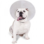 Collier - KVP - V&eacute;rifiez - Transparent - L&eacute;ger - Confortable puhas