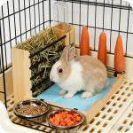 Wooden Hay Feeder Food Dispenser Premium Easy to Clean Water Bottle Guinea Pig Holder with Bowls black