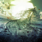 Rhinestones tikandid maalid teemanttikandid k&auml;sit&ouml;&ouml;d hobuste vesi teemant seinakunst 30x30CM