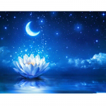 T&auml;is&uuml;mmargune puur 5D DIY Teemantmaal Moon Lotus Tikand Ristpiste 20X30CM