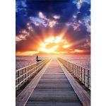 DIY teemantmaal, loojuv p&auml;ike, maastik ristpistes t&auml;is&uuml;mmargused teemantmaalid kivid 20X30CM punane