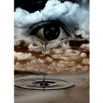 5D DIY Teemantmaal Ristpistes K&auml;sit&ouml;&ouml; T&auml;ispuurimise Mosaiik Teemanttikandid Rhinestone Mosaiic King Mosaiic Dekoratsioonid Avaleht 15x20CM