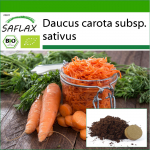 SAFLAX - Mahe - Porgand - S&uuml;giskuningas - 1000 seemet - Potisubstraadiga paremaks kasvatamiseks - Daucus carota