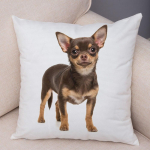 Armas lemmikloomade padjap&uuml;&uuml;r Dekoratiivne armas kutsika chihuahua padjap&uuml;&uuml;r Pehme pl&uuml;&uuml;sist padjap&uuml;&uuml;r autodiivanile koju 45x45cm 40x40cm