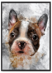 Plakat buldog pies abstrakcja w czarnej ramie 21x30 cm