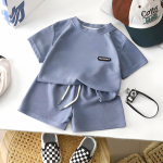 2 tk Vabaaja laste l&uuml;hikeste varrukatega l&uuml;hikesed p&uuml;ksid komplektid suvised lapsed riided poiss t&uuml;drukud p&uuml;ksid p&uuml;ksid r&otilde;ivad mullav&auml;rvi dressid 1-8 aastat 120cm