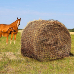 Suur aeglase s&ouml;&ouml;tmisega heinakott 5 cm aukudega hobustele, lehmadele, lammastele, alpakadele 4'x4' must