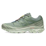 Salomon XT-6 GORE-TEX Desert Sage Unisex tossud Green Lily-Pad Laurel-Wreath L47292000