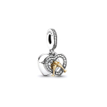 Pandora kahev&auml;rviline aastap&auml;eva ripats unisex h&otilde;bedane ripats 799322C01 Silver