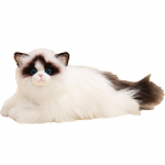 Uus Uus Ragdolli Kassikass Nukk Palus M&auml;nguasi Kassipoeg Siiami Kassikass Nukk Ragdoll Laste S&uuml;nnip&auml;evakingitus Nukk valge