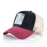 Snapbacki m&uuml;tsid meestele, naistele, suvine hingav v&otilde;rgust pesapallim&uuml;ts v&auml;litingimustes p&auml;ikeselilledega tikandiga m&uuml;ts 56-60cm valge