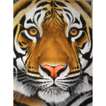 Teemantmaal Tiger Teemanttikandid Ristpistes &uuml;mmargune t&auml;isteemantmosaiikpilt 20X30CM