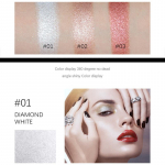 K&otilde;rgl&auml;ikega Contouring Palette Contouring Powder Shimmering Powder meigipuuder #01