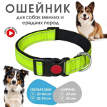 Vastupidavad ja ohutud koerte kaelarihmad p&otilde;rutusi neelava benji jalutusrihmaga v&auml;ikestele ja keskmistele t&otilde;ugudele S-2cm*26-36cm