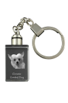 Chinese Crested Dog, Puff - Crystal key ring with dog photo, illuminated key ring, unique gift by Art-Dog brand
