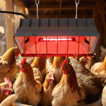 Kanakuutide k&uuml;ttekeha Haudek&uuml;ttekeha Lamp K&uuml;tteplaat Reguleeritav Lambi Temperatuur Kariloomade Hoiatuslamp Linnukasvatus Tarvikud One Size