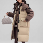 Naiste talvine alla t&auml;idetud jope p&otilde;lvepikkusega keskpikk paksenenud vabaaja puuvillaga t&auml;idetud jope S