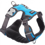 Harnais chien - RED DINGO - Sport - Rembourr&eacute; - R&eacute;fl&eacute;chissant - Taille T4 t&uuml;rkiissinine