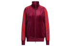 Adidas Ivy Park Sametine dressipluus K&otilde;igile Sugu HN0305 S
