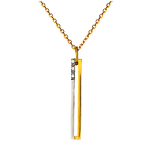 Altesse [M2722] &ndash; 2-tooniline Scarlett kullatud kaelakee kuld