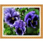 Teemantv&auml;rvimine lillede 3D ruudukujuline t&auml;isristpistes teemanttikandid violetne k&auml;sit&ouml;&ouml; kodu 20X30CM