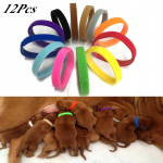 12 tk. Kutsika vasts&uuml;ndinud lemmikloomad identifitseerivad kaelarihmad Reguleeritavad nailonist v&auml;ikesed lemmikloomade koera kaelarihmad 10*200MM