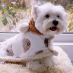 Koera kuub S&uuml;gis/talvine soe tekk Lemmiklooma tekk Sall Mantel Koerte Pesa Talv V&auml;ike koer Lemmikloom Kassi Kutsika Riided V&auml;ikestele Koertele S