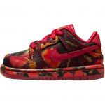The Wizard of Oz x Nike Dunk Low SB TD Poppy Field Beebi tossud Punane Varsity-Punane &Uuml;likooli-Kuld FZ1237-600 21