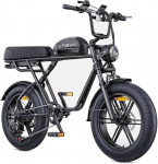 ENGWE M1 15.6AH 48V 250W 20 Inch 90KM Bicyclettes &eacute;lectriques noir