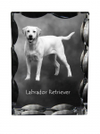 Labrador Retriever I - crystal with a picture of a dog, glass statuette with a picture, unique frame with a picture from Art-Dog brand