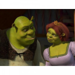 V&auml;rvimine numbrite j&auml;rgi raamiga Maalid v&auml;rvimiseks Shrek ja Fiona 50x40 cm