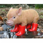 T&auml;isruudukujuline &uuml;mmargune puur 5D DIY Teemantmaaling Siga Teemanttikandid Loomad Ristpistes Teemantmosaiik Rhinestones Kunstkingitus Full Round 15x20CM