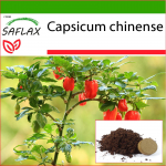 SAFLAX - Chili - Habanero Antills Red - 10 seemet - Potisubstraadiga paremaks kasvatamiseks - Capsicum chinense