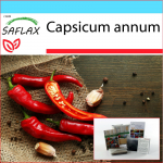 SAFLAX - Kingikomplekt - Chili - De Cayenne - 20 seemet - Koos kinkekarbi, kaardi, etiketi ja potisubstraadiga - Capsicum annum