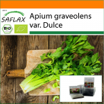 SAFLAX - Aed kotis - Orgaaniline - Pascali seller - 500 seemet - Substraadiga sobivas p&uuml;stises kotis - Apium graveolens
