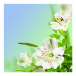 DIY 3D Teemantmaali Lilled Tikand Ristk&auml;sit&ouml;&ouml; Kodukaunistus Full Round 20x20CM