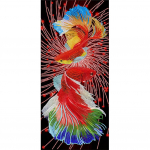 Koi Fish 5D DIY teemantmaalikomplektid Erikujuline osaline puurseinakaunistus Full Round 30x60CM