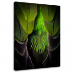 L&otilde;uenditr&uuml;kk Feather Bird Nature Green 40x60 roheline